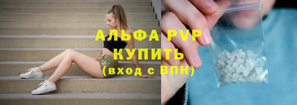 прущая мука Бородино