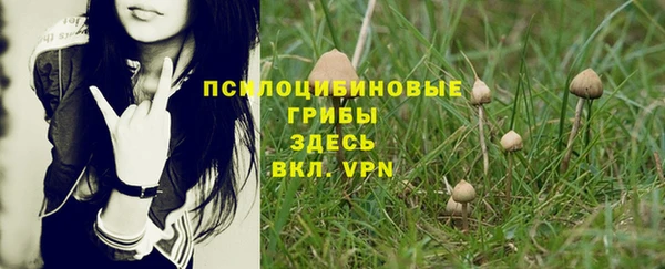 ALPHA PVP Бугульма