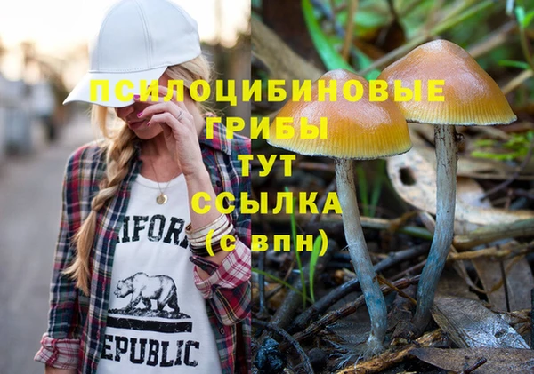 a pvp Саяногорск
