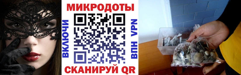 как найти закладки  Новосокольники  Псилоцибиновые грибы мухоморы 