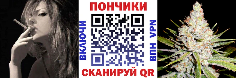 Бошки марихуана семена  shop клад  Новосокольники 